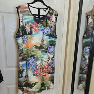 Just Live Scenic Print Sleeveless Dress NWT